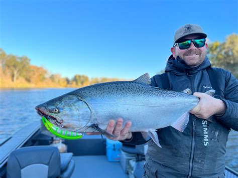 Sacramento River Salmon Fishing Report 11/21/22 “Late Fall Run King.